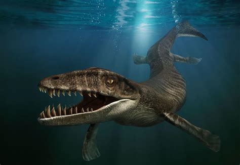 prehistoric sea creatures  thankful  extinct