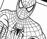 Spiderman Pages Coloring Print Getcolorings sketch template