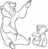 Bear Brother Coloring Pages Disney Drawing Ausmalbilder Bärenbrüder Colouring Drawings Bears Ours Beer Cartoon Coloringpages1001 Paintingvalley Explore sketch template