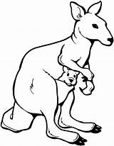 Kangaroo sketch template