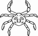 Coloring Crab Spider Kids Pages Printable Hermit Designlooter Drawings Bestcoloringpagesforkids 65kb 1200 sketch template