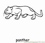 Panther Coloring Color Printable Pages Animals Online sketch template