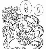 Pieuvre Oktopus Tintenfisch Alphabet Octopus Ausmalbild Ko sketch template
