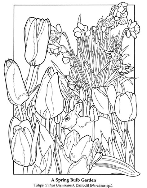 dover publications spring coloring pages coloring pages