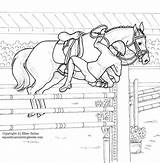 Horse Coloring Pages Dressage Jumping Book Getcolorings Print sketch template