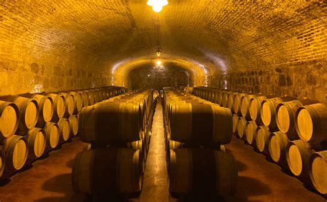 alta vista winery mendoza  travellers tale