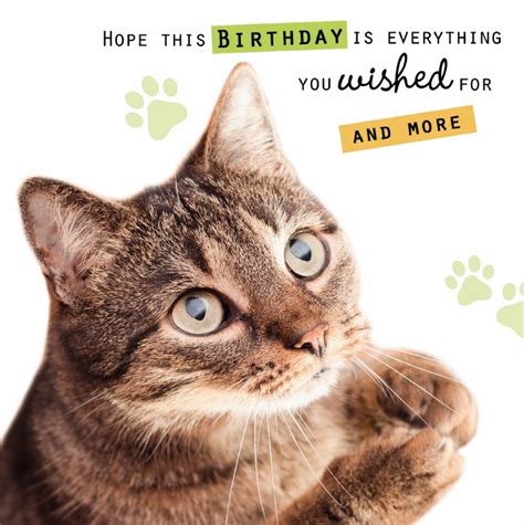 printable cat birthday cards birthdaybuzz cat birthday card