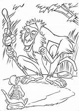 Rafiki Coloring Pages Timon Ae2a Printable Getcolorings Print Simba sketch template
