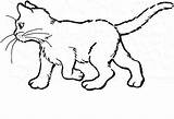 Coloring Cat Pages Real Getcolorings Color sketch template