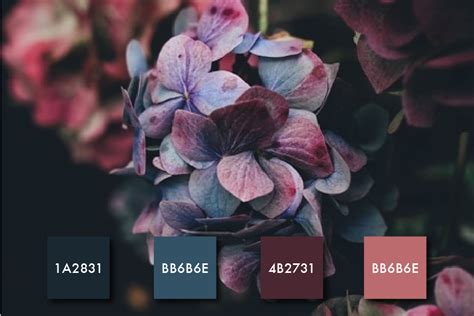color palette inspiration tailor brands design blog