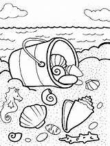 Coloring Shells Sea Pages Shell Seashell Conch Drawing Line Getdrawings Getcolorings Color Printable sketch template