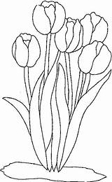 Tulips Tulpen Colorat Lalele Flori Tulipe Desene Tulip Tulipes Planse Tulipanes P28 Malvorlagen Mosaic Doodles Primiiani Copii Acoloringbook sketch template