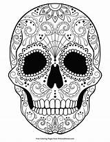 Halloween Skull Sugar Coloring Pages Colouring Skulls Primarygames Adult Printable Adults Book Mandala Ebook Pdf Books Sheets Dead Word Advanced sketch template