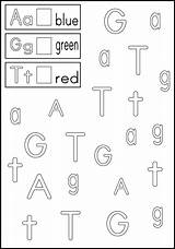 Letter Letters Color Worksheets Recognition Alphabet Kindergarten Preschool Find Learning Kidstv123 sketch template