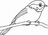 Papagei Robins Getdrawings Perch Yellowhammer Quail Zoo Bestcoloringpagesforkids Clipartmag sketch template
