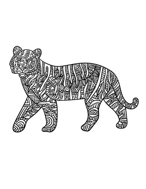 tiger mandala coloring pages  adults stock vector illustration