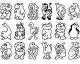 Coloring Animals Wild Pages Printable Print Cute Getcolorings Color sketch template