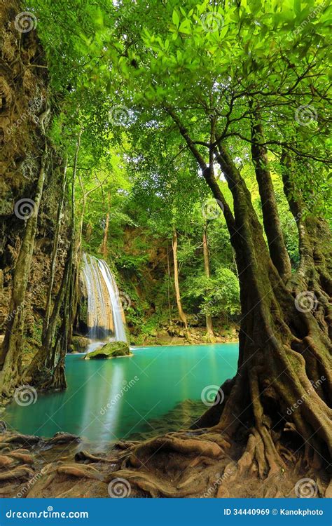 waterfall beautiful scenery   tropical forest royalty  stock images image