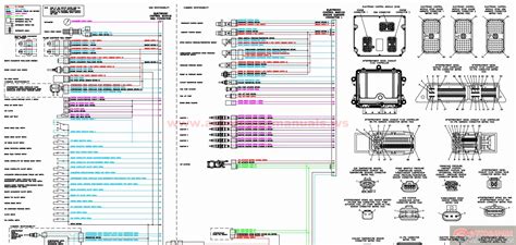 cummins  ecm wiring diagram sample wiring diagram sample