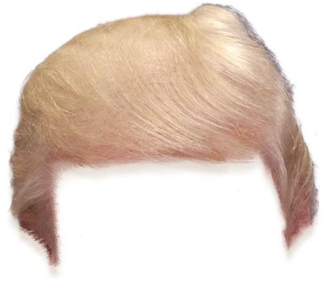 trumps hair trump hair hair