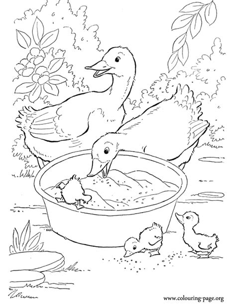 dogs  puppies couple  ducks   ducklings coloring page