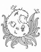 Vettore Scarabocchio Istrice Hedgehog Zentangl Coloritura Adulti Sforzo Coccinella Bianc sketch template