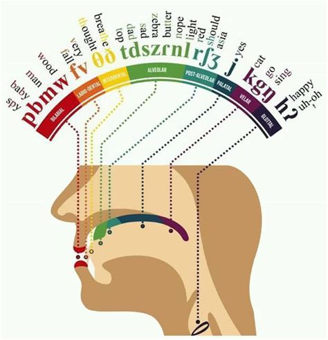 science diagrams  accurate    barnorama