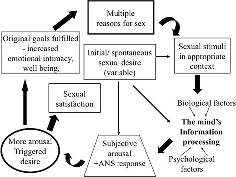 circular sexual response cycle of overlapping phases may be experienced