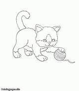 Coloring Cats Playing Pages Kitten Cat Wool Adorable Ball Kids sketch template