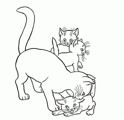 cat coloring pages   coloring sheets kittens coloring cat