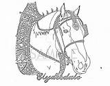 Clydesdale Coloring Horse Pages Designlooter Template 1004 36kb 796px sketch template