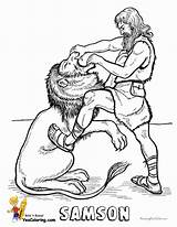 Coloring Samson Lion Faithful Testament Heroes sketch template