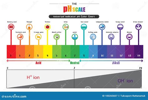 ph scale universal indicator ph color chart diagram stock vector