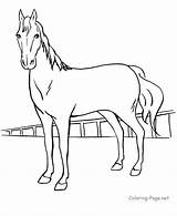 Race Coloring Horse Popular sketch template