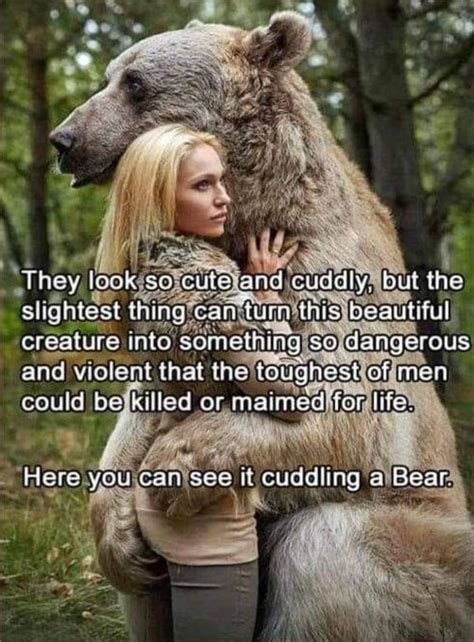 cuddling bear rlol