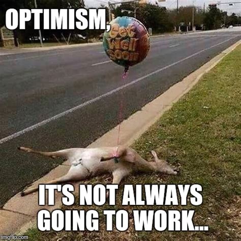 optimism     imgflip