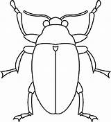 Insect Google Coloring Pages Bug Kids Insects sketch template