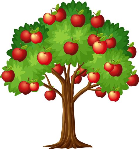 apple tree coloring vector art icons  graphics