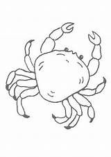Crab Pages Coloring Sea Printable Animal Color Hellokids Print Beach Kids Colouring Kawaii Crafts Drawing Sheets Template Drawings Shells Shell sketch template