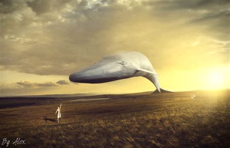 whales fly  feature  endorell taelos  deviantart