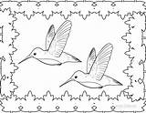 Coloring Hummingbird Pages Printable Birds Kids Cool2bkids Ruby Throated Getdrawings sketch template