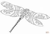 Dragonfly Intricate Dragon Fly Dragonflies Supercoloring sketch template