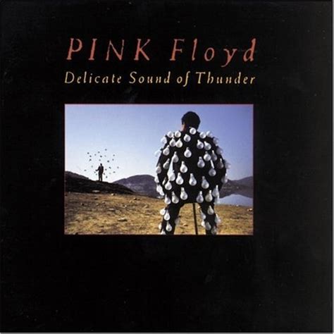 delicate sound of thunder pink floyd release info allmusic