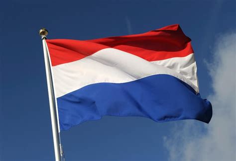 netherlands flag  netherlands flag badge high resolution stock