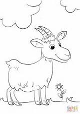 Goat Cartoon Coloring Drawing Printable Goats Animals sketch template