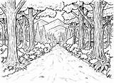 Coloring Rainforest Pages Forest Printable Background Nature Color Colouring Adults sketch template