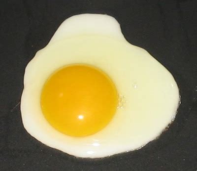 nezuugasaki egg yolk