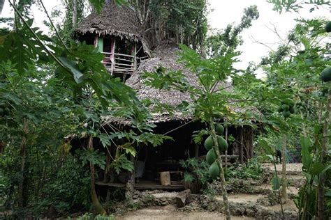 banyan tree house la maison du banian sista