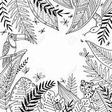 Jungle Drawing Leaf Tropical Frame Vector Getdrawings sketch template