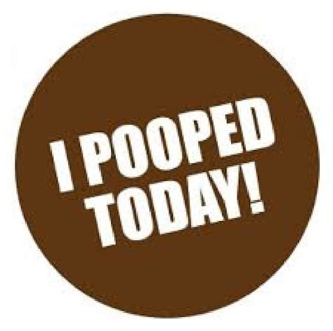 pooped today  bensibner redbubble